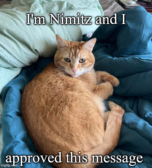 Cat approved | I'm Nimitz and I; approved this message | image tagged in cats,cat lady | made w/ Imgflip meme maker