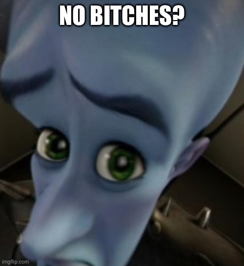 Megamind no bitches | NO BITCHES? | image tagged in megamind no bitches | made w/ Imgflip meme maker