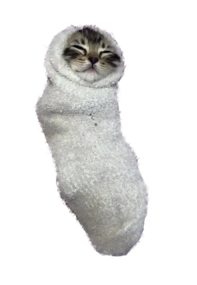 COZYCAT Blank Meme Template