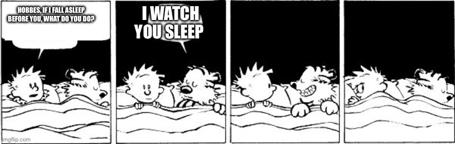 Pov: Ur tiger watches you sleep. | I WATCH YOU SLEEP; HOBBES, IF I FALL ASLEEP BEFORE YOU, WHAT DO YOU DO? | image tagged in bubble burster calvin and hobbes,tigers,funny memes,oh wow are you actually reading these tags | made w/ Imgflip meme maker