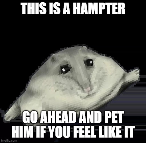 if you're wondering why this is in gaming, this hampter is a model from ULTRAKILL | THIS IS A HAMPTER; GO AHEAD AND PET HIM IF YOU FEEL LIKE IT | image tagged in florp,hampter,hamster,chubby,fat,oh wow are you actually reading these tags | made w/ Imgflip meme maker