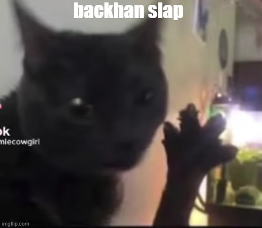 e.g. 4 dabloons | backhan slap | image tagged in e g 4 dabloons | made w/ Imgflip meme maker