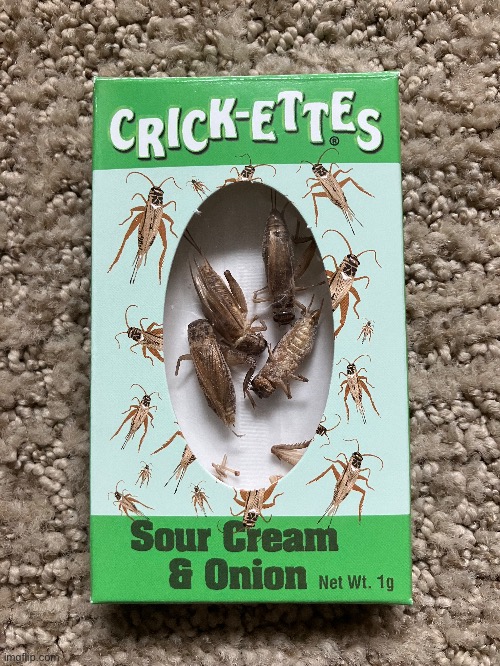 Yummy | made w/ Imgflip meme maker