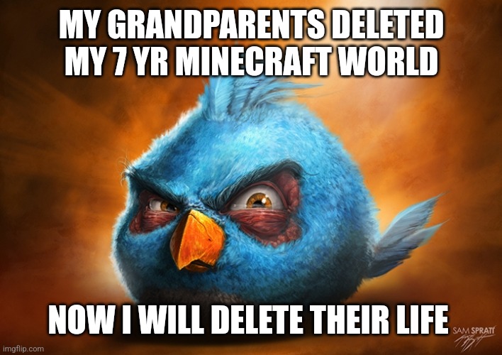 Kill my grandparents | MY GRANDPARENTS DELETED MY 7 YR MINECRAFT WORLD; NOW I WILL DELETE THEIR LIFE | image tagged in angry birds blue | made w/ Imgflip meme maker