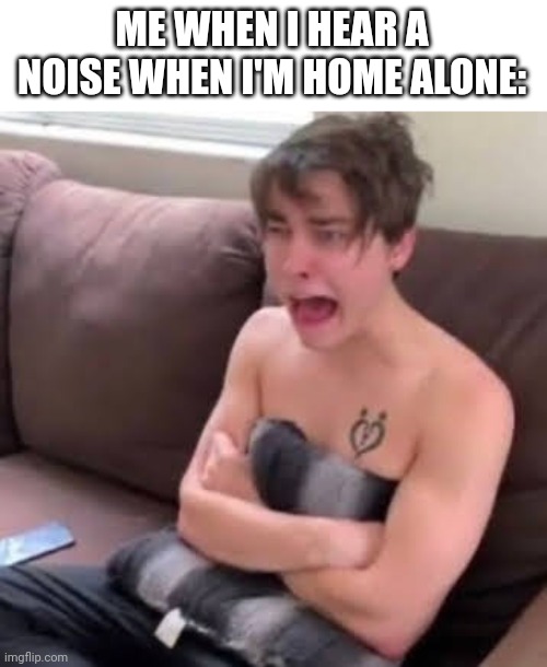 home alone, in image:Colby brock | ME WHEN I HEAR A NOISE WHEN I'M HOME ALONE: | image tagged in aah colby brock | made w/ Imgflip meme maker