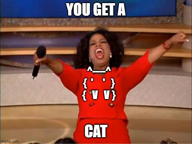 Oprah You Get A | YOU GET A; ^----^
 {  '     '   }
       {   V   V }; CAT | image tagged in memes,oprah you get a | made w/ Imgflip meme maker