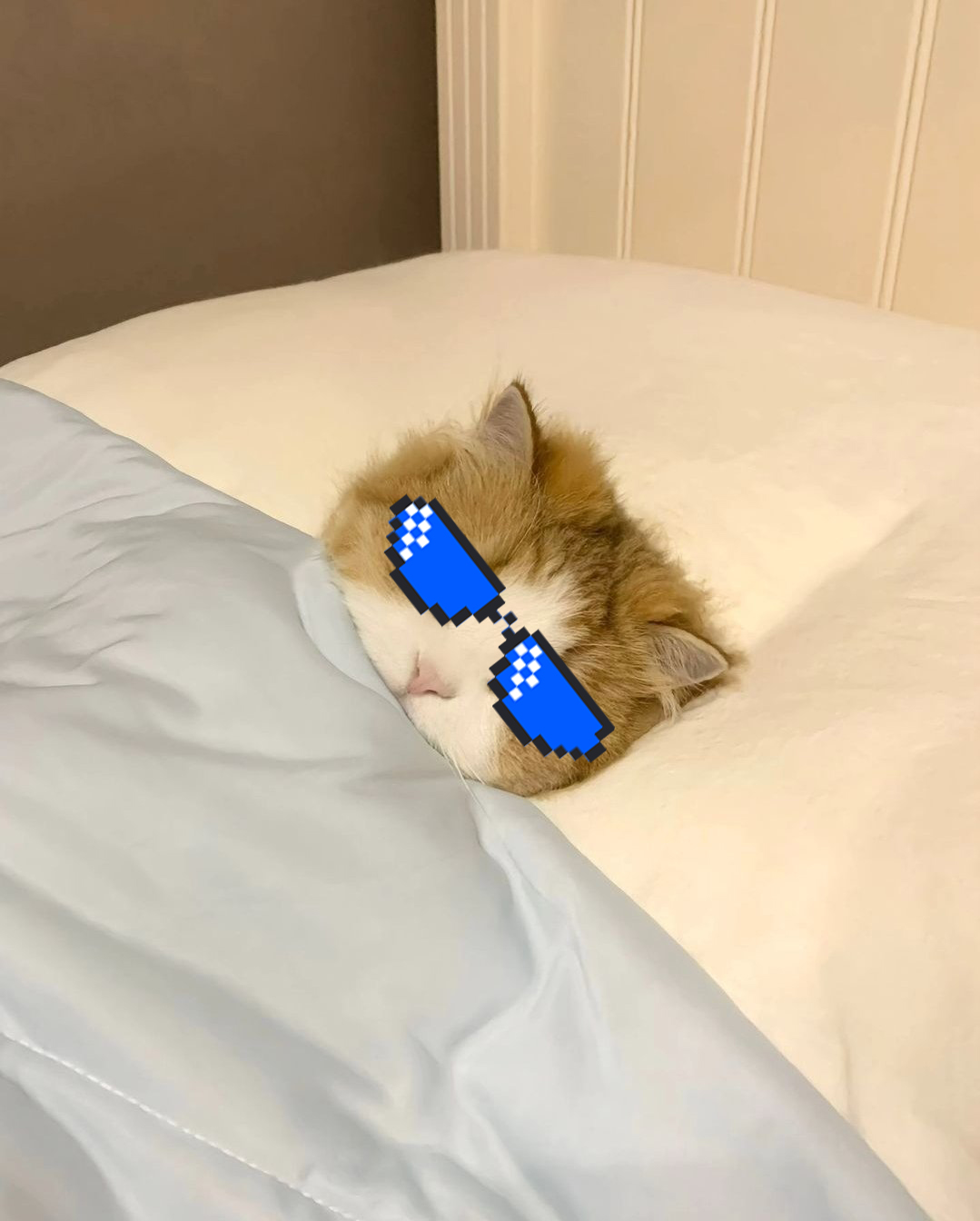 Mecat Blank Meme Template