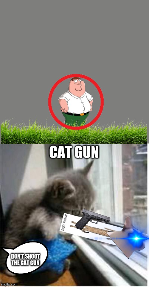 don't shoot | CAT GUN; DON'T SHOOT THE CAT GUN | image tagged in cats with guns | made w/ Imgflip meme maker