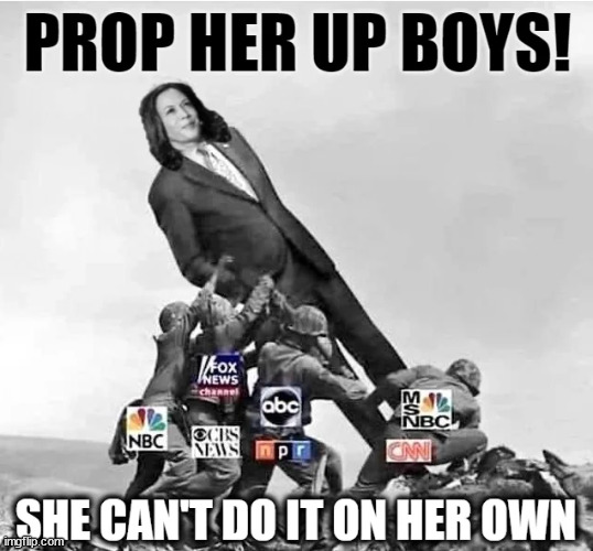 Misleadia turning up their gaslighting | image tagged in misleadia,gaslighting,kamala,sucks,america knows it | made w/ Imgflip meme maker