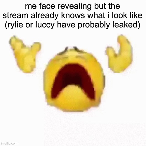 aw poop | me face revealing but the stream already knows what i look like (rylie or luccy have probably leaked) | image tagged in nooo | made w/ Imgflip meme maker