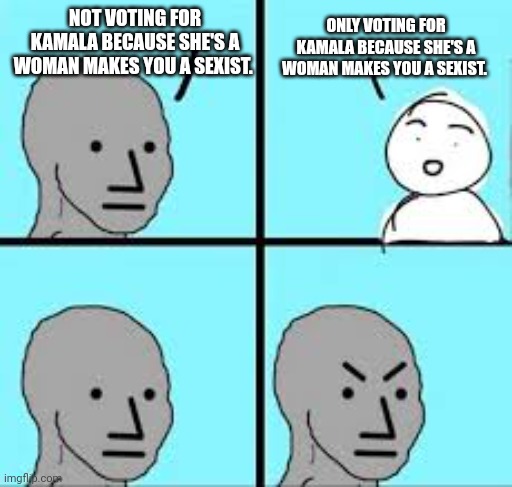 Touche | ONLY VOTING FOR KAMALA BECAUSE SHE'S A WOMAN MAKES YOU A SEXIST. NOT VOTING FOR KAMALA BECAUSE SHE'S A WOMAN MAKES YOU A SEXIST. | image tagged in valid argument | made w/ Imgflip meme maker