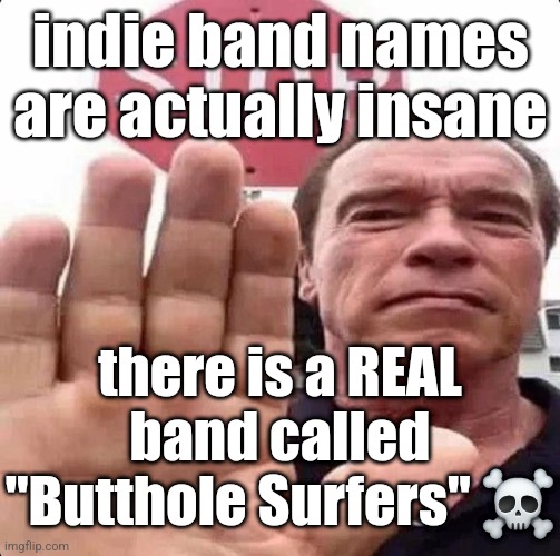 guy in front of stop sign | indie band names are actually insane; there is a REAL band called "Butthole Surfers" ☠️ | image tagged in guy in front of stop sign | made w/ Imgflip meme maker