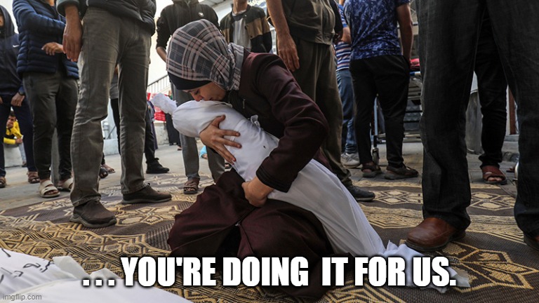 Doing It For Us | . . . YOU'RE DOING  IT FOR US. | image tagged in palestine | made w/ Imgflip meme maker