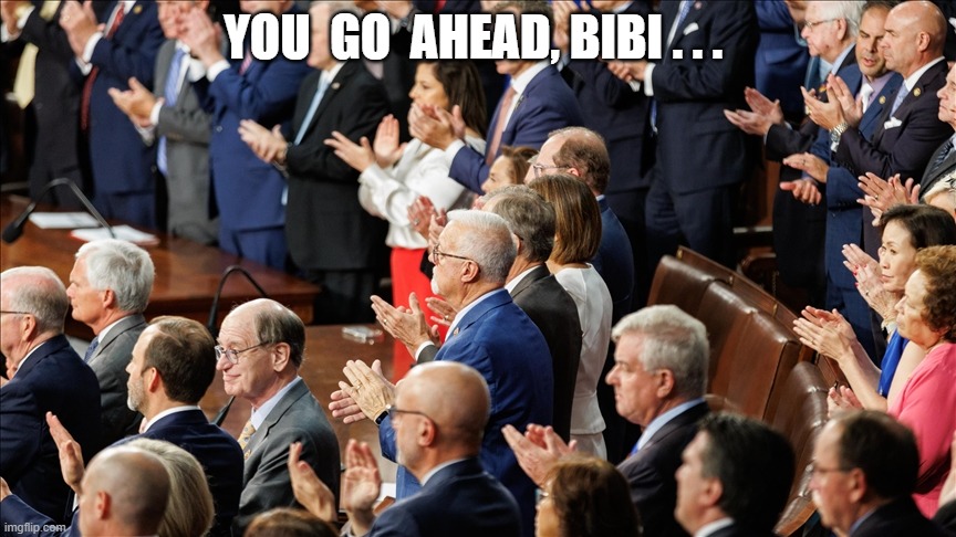 go ahead, bibi | YOU  GO  AHEAD, BIBI . . . | image tagged in congress | made w/ Imgflip meme maker