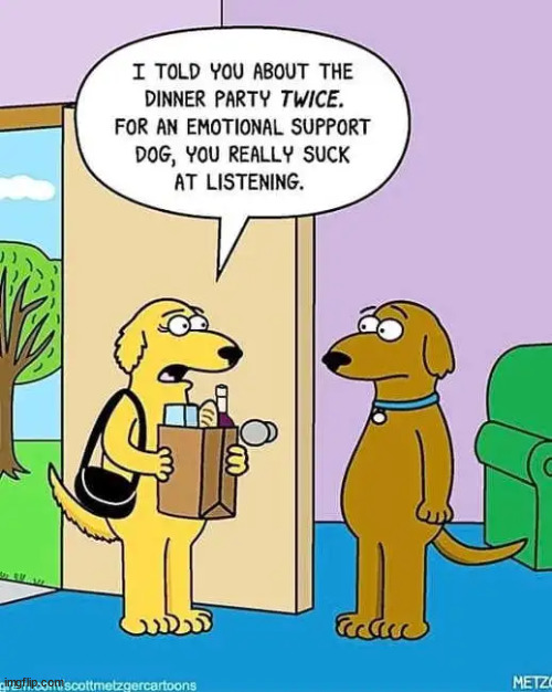 Supposed to be good listeners | image tagged in repost,good listener,emotional support | made w/ Imgflip meme maker