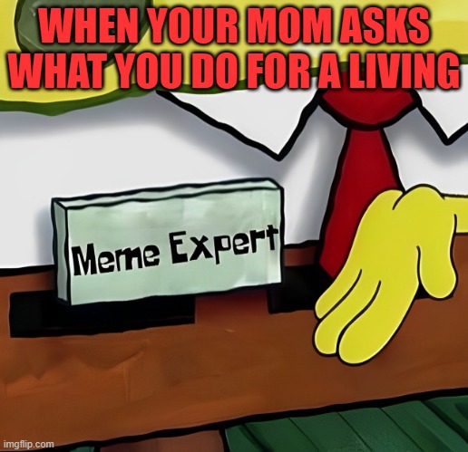 meme expert | WHEN YOUR MOM ASKS WHAT YOU DO FOR A LIVING | image tagged in memes | made w/ Imgflip meme maker