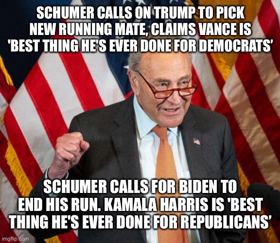 Schumer knows what’s going on. | SCHUMER CALLS ON TRUMP TO PICK NEW RUNNING MATE, CLAIMS VANCE IS 'BEST THING HE'S EVER DONE FOR DEMOCRATS’; SCHUMER CALLS FOR BIDEN TO END HIS RUN. KAMALA HARRIS IS 'BEST THING HE'S EVER DONE FOR REPUBLICANS’ | image tagged in shumer | made w/ Imgflip meme maker