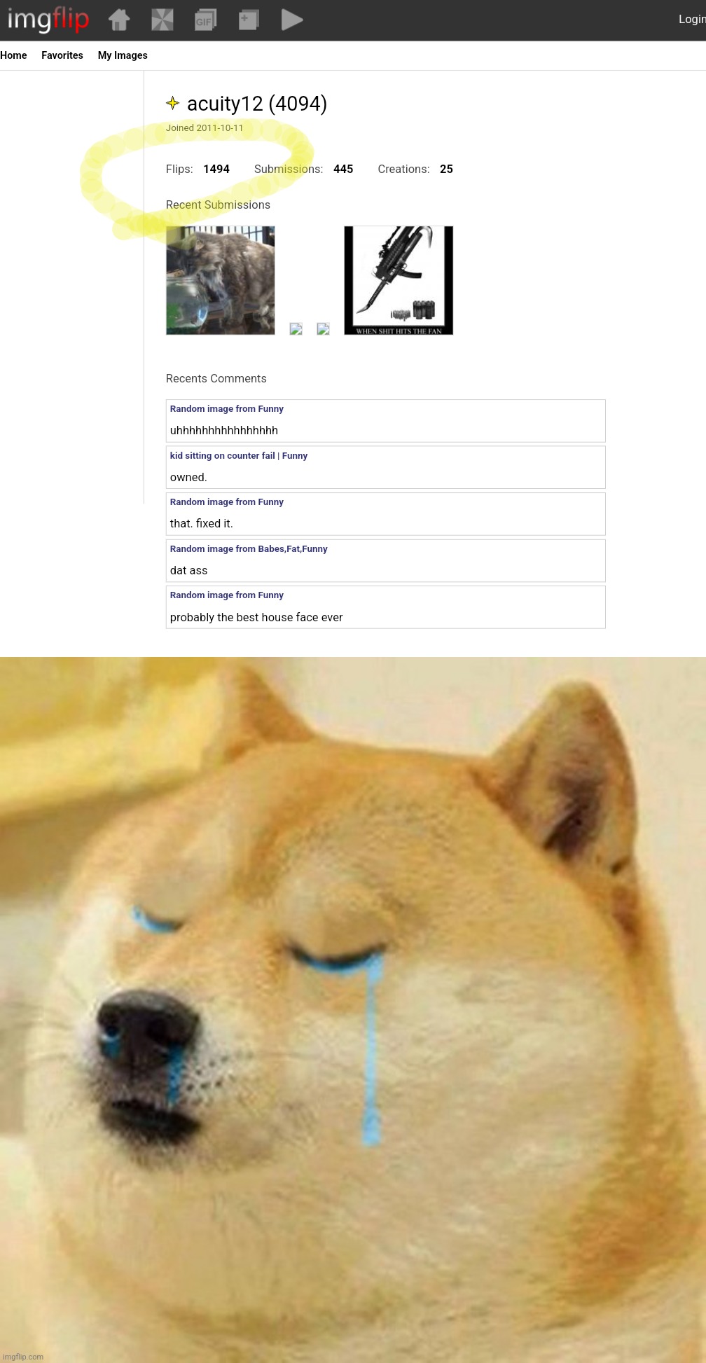 image tagged in doge crying | made w/ Imgflip meme maker