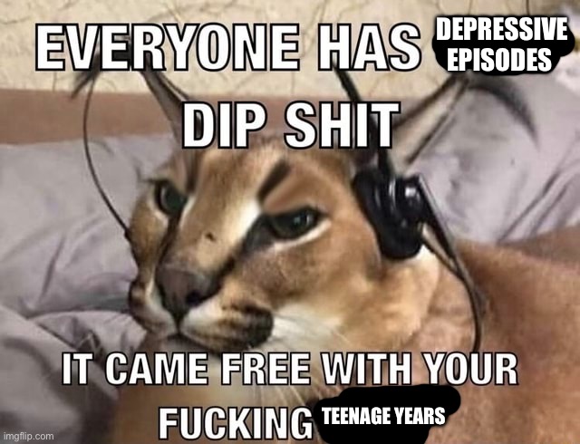 Everyone has X Dip Shit | DEPRESSIVE EPISODES; TEENAGE YEARS | image tagged in everyone has x dip shit | made w/ Imgflip meme maker