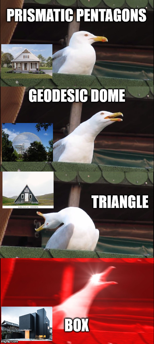 modern architects be like | PRISMATIC PENTAGONS; GEODESIC DOME; TRIANGLE; BOX | image tagged in memes,inhaling seagull | made w/ Imgflip meme maker