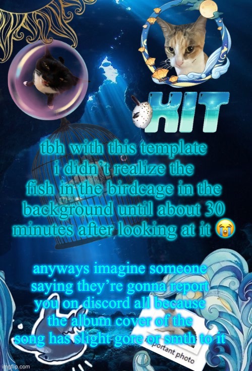 would cry cause like what am i supposed to do? skip that song despite it being good? | tbh with this template i didn’t realize the fish in the birdcage in the background until about 30 minutes after looking at it 😭; anyways imagine someone saying they’re gonna report you on discord all because the album cover of the song has slight gore or smth to it | image tagged in silly announcement template by asriel | made w/ Imgflip meme maker