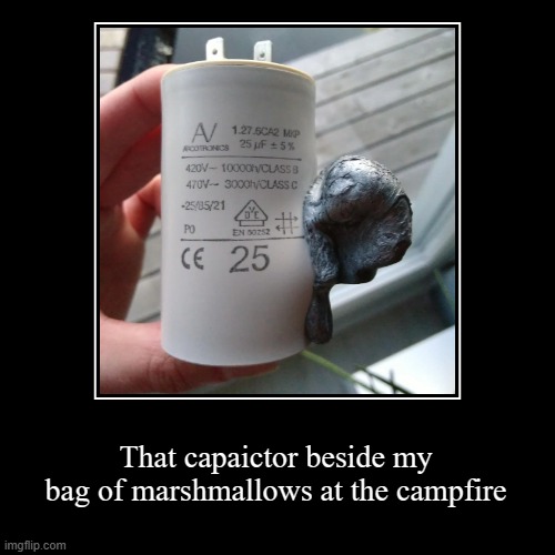 Campfire capaictor | That capaictor beside my bag of marshmallows at the campfire | image tagged in funny,demotivationals | made w/ Imgflip demotivational maker