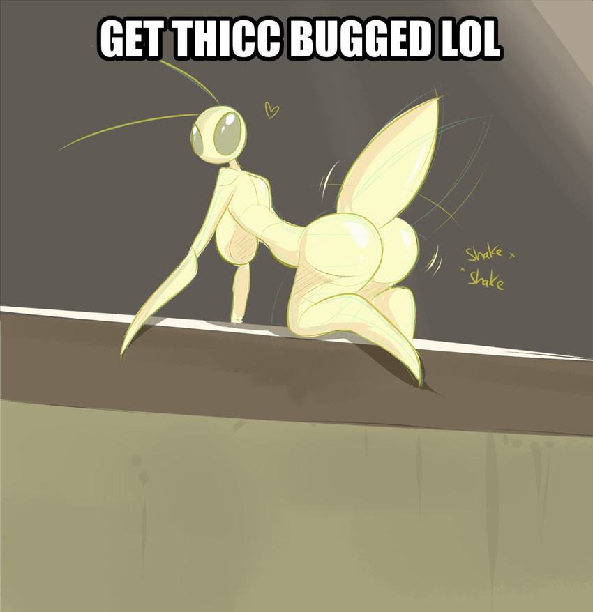 get thicc bugged lol Blank Meme Template