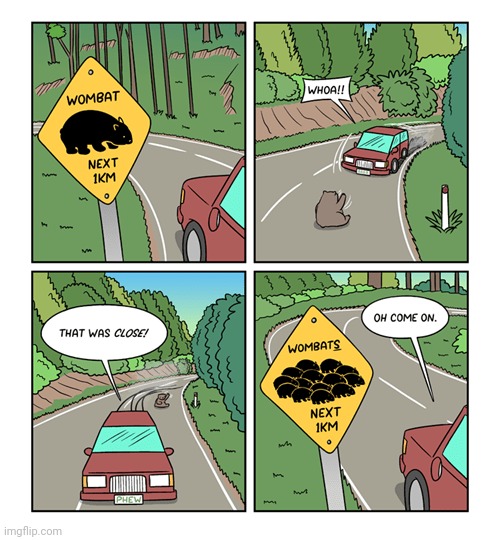 MORE INCOMING WOMBATS | image tagged in road,wombats,wombat,roads,comics,comics/cartoons | made w/ Imgflip meme maker