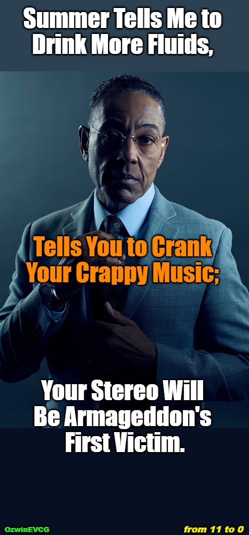 from 11 to 0 | Summer Tells Me to 

Drink More Fluids, Tells You to Crank 

Your Crappy Music;; Your Stereo Will 

Be Armageddon's 

First Victim. from 11 to 0; OzwinEVCG | image tagged in dark,gus fring,music,extreme,ridiculous,justice | made w/ Imgflip meme maker