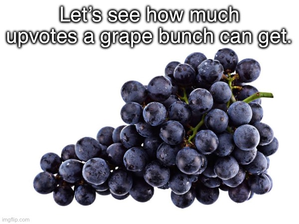 Let’s see how much upvotes a grape bunch can get. | made w/ Imgflip meme maker