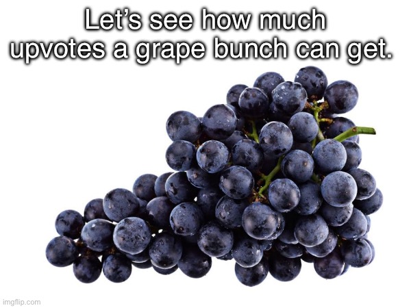 Let’s see how much upvotes a grape bunch can get. | image tagged in hmmm | made w/ Imgflip meme maker