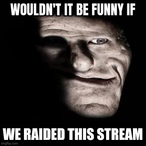 Wouldn't it be funny if x | WE RAIDED THIS STREAM | image tagged in wouldn't it be funny if x | made w/ Imgflip meme maker