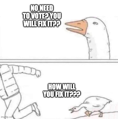 How will you fix it?? | NO NEED TO VOTE? YOU WILL FIX IT?? HOW WILL YOU FIX IT??? | image tagged in goose chase | made w/ Imgflip meme maker