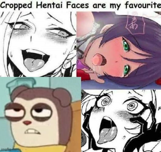 Cropped Hentai Faces are my favourite | image tagged in cropped hentai faces are my favourite | made w/ Imgflip meme maker