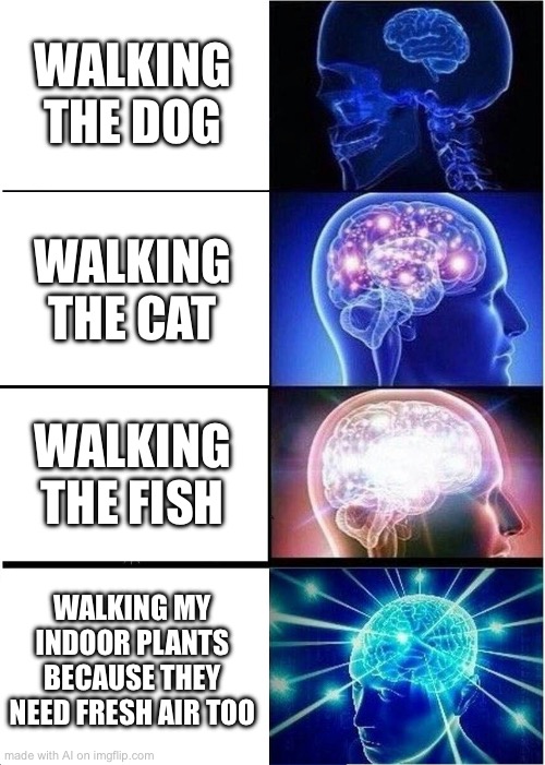 Expanding Brain | WALKING THE DOG; WALKING THE CAT; WALKING THE FISH; WALKING MY INDOOR PLANTS BECAUSE THEY NEED FRESH AIR TOO | image tagged in memes,expanding brain | made w/ Imgflip meme maker