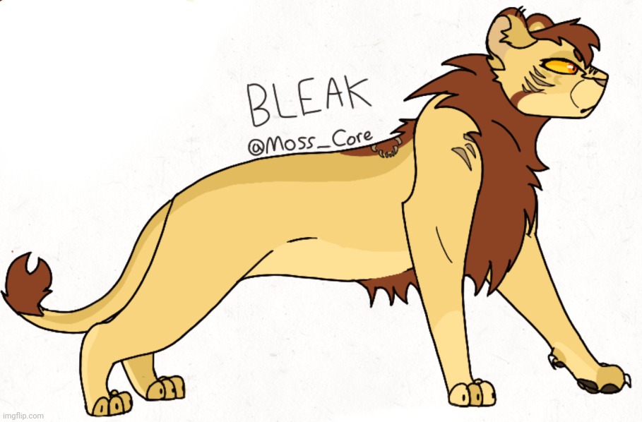 Im back so have a lion | image tagged in and my birthday is tmr,the 29th | made w/ Imgflip meme maker