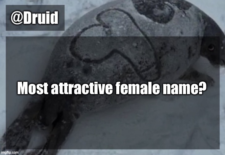 Old announcement temp | Most attractive female name? | image tagged in y | made w/ Imgflip meme maker