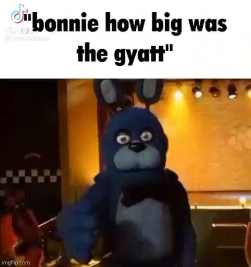 Bonnie how big was the gyatt | image tagged in bonnie how big was the gyatt | made w/ Imgflip meme maker