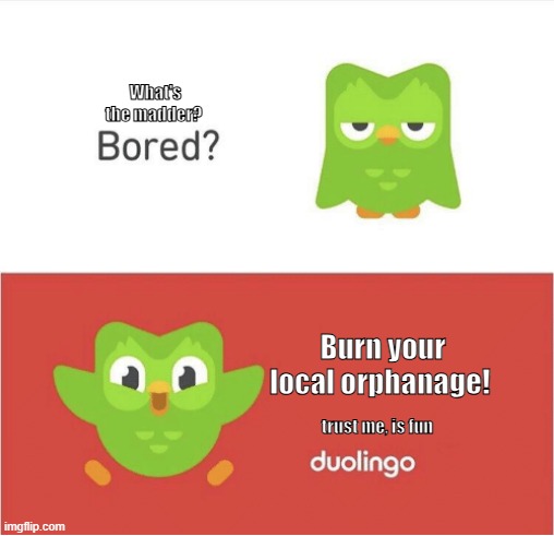 "It's fun trust me :)" - Duolingo | What's the madder? Burn your local orphanage! trust me, is fun | image tagged in duolingo bored | made w/ Imgflip meme maker