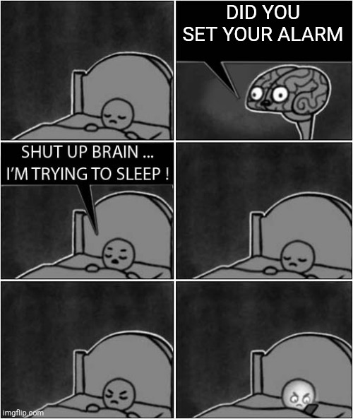 shut up brain, i'm trying to sleep | DID YOU SET YOUR ALARM | image tagged in shut up brain i'm trying to sleep | made w/ Imgflip meme maker