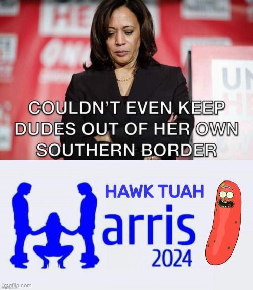 Hawk Tuah Hobama Harris southern border | image tagged in hawk tuah,kamala harris | made w/ Imgflip meme maker