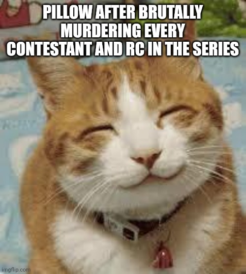 Happy cat | PILLOW AFTER BRUTALLY MURDERING EVERY CONTESTANT AND RC IN THE SERIES | image tagged in happy cat | made w/ Imgflip meme maker