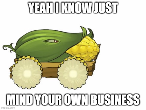 cob cannon pvz | YEAH I KNOW JUST MIND YOUR OWN BUSINESS | image tagged in cob cannon pvz | made w/ Imgflip meme maker