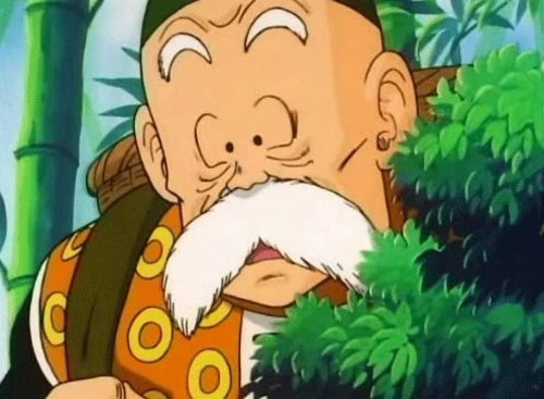 grandpa gohan Blank Meme Template