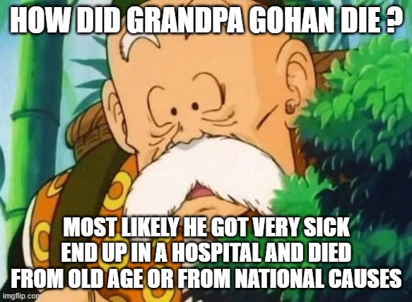 how did grandpa gohan die ? | HOW DID GRANDPA GOHAN DIE ? MOST LIKELY HE GOT VERY SICK END UP IN A HOSPITAL AND DIED FROM OLD AGE OR FROM NATIONAL CAUSES | image tagged in grandpa gohan,died,dead memes,dragon ball z,anime,you will die in 0 05 | made w/ Imgflip meme maker