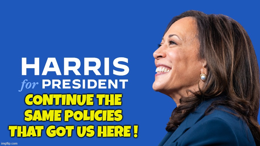 Harris for President | CONTINUE THE
SAME POLICIES
THAT GOT US HERE ! | image tagged in kamala harris,vice president,maga,make america great again,socialism,diversity | made w/ Imgflip meme maker