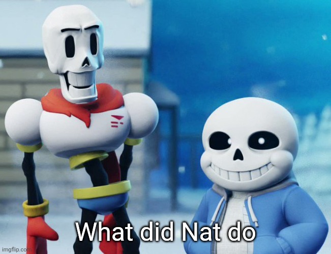 Bro Visited His Friend Last Panel (Undertale version) | What did Nat do | image tagged in bro visited his friend last panel undertale version | made w/ Imgflip meme maker