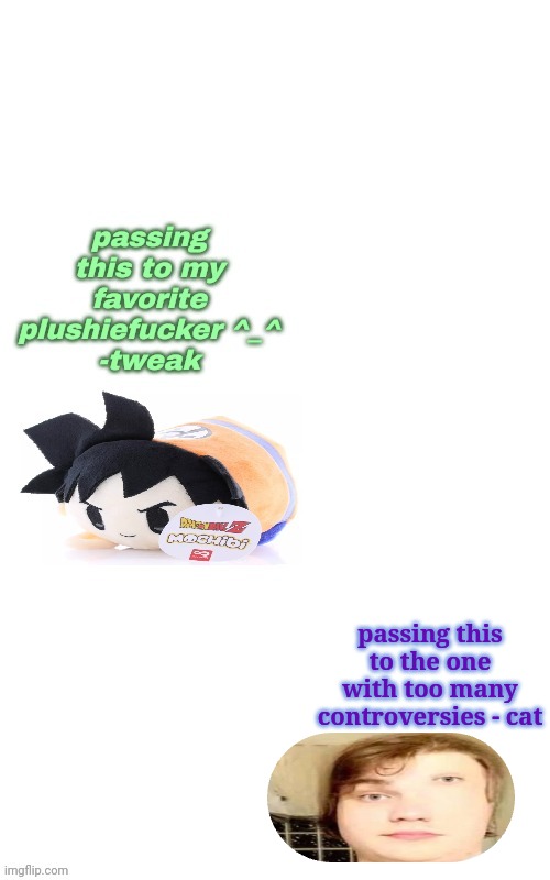 certified plushie fucker btw | passing this to the one with too many controversies - cat | made w/ Imgflip meme maker
