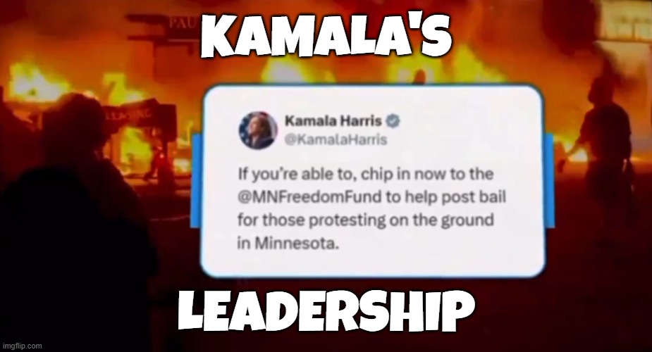 Kamala's Leadership | KAMALA'S; LEADERSHIP | image tagged in kamala harris,vice president,maga,make america great again,socialism,diversity | made w/ Imgflip meme maker