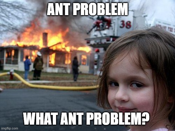 What's this a house for ANTS? | ANT PROBLEM; WHAT ANT PROBLEM? | image tagged in memes,disaster girl | made w/ Imgflip meme maker